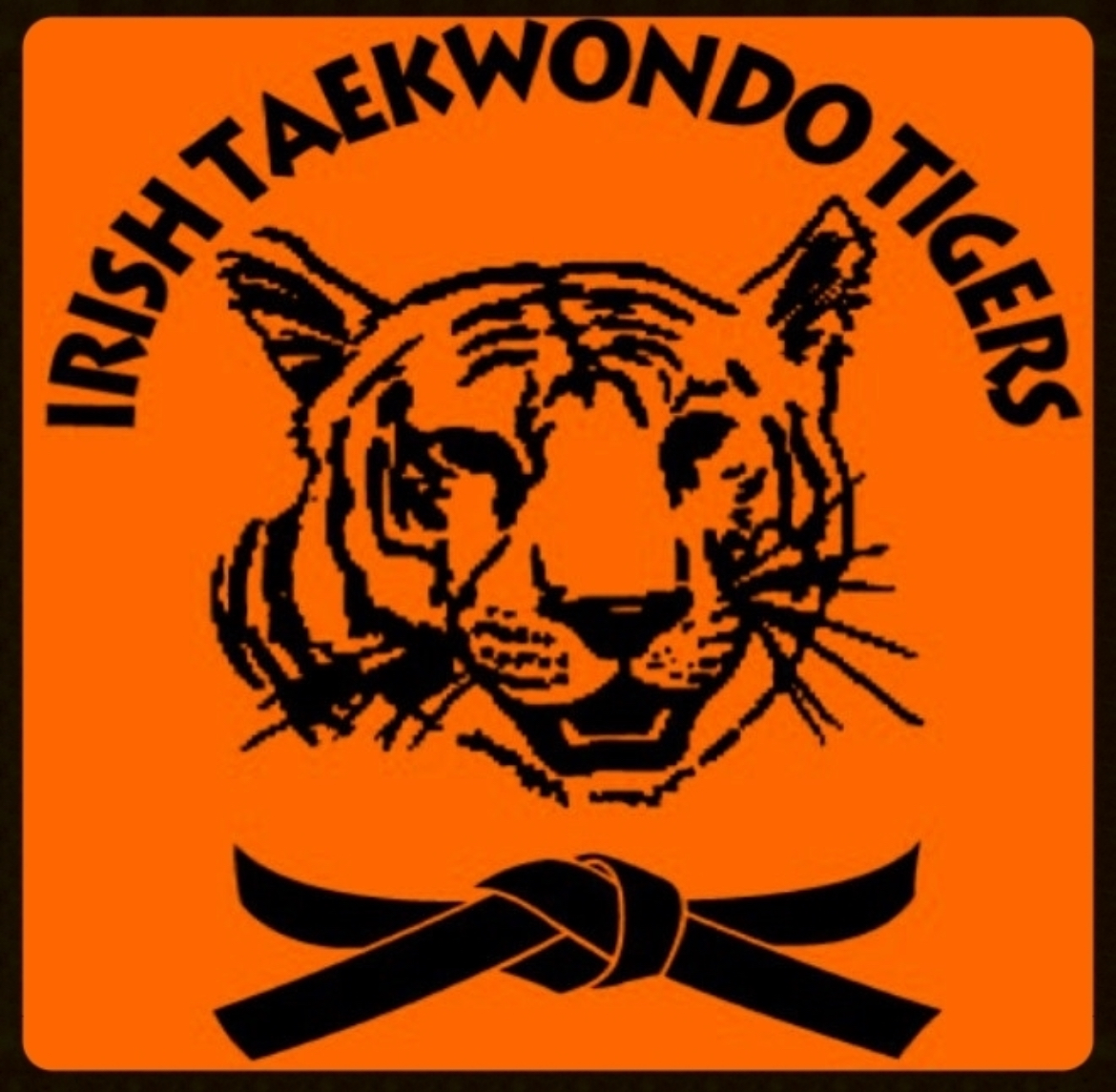 Irish Taekwondo Tigers (Loughlinstown & Monkstown)