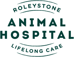 Roleystone Animal Hospital