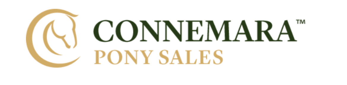Connemara Pony Sales & Livestock Mart